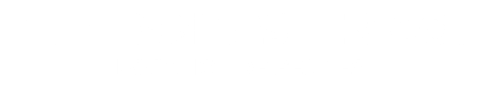 the dumpster co
